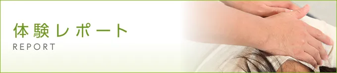 体験レポート
